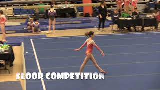 Annie LeBlanc Harford Trophy Meet 2017 Annie LeBlanc Level 9 6 [upl. by Mahalia]