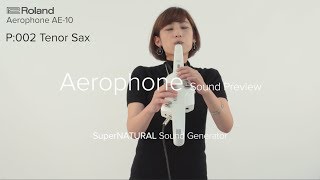 Roland Aerophone AE10 Sound Preview [upl. by Fesuy157]