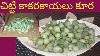 మీరు ఎప్పుడైనా ఈ చిట్టి కాకరకాయలు చూసారా Srinu bhavani vlogs [upl. by Adhamh943]