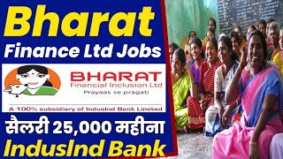 Bfil Indusind Bank Jobs  Bharat Financial Inclusion Ltd  Indusind Bank Job Vacancy 2024 [upl. by Stephana370]