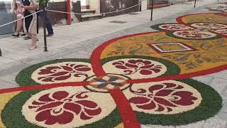 9 Edizione INFIORATA  Patù  PUGLIA 2024 [upl. by Senilec]