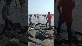 Gorai beach Mumbai shortsasia india mumbai [upl. by Artemis]