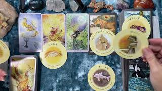 Taurus Your December Prepares For New Cycle Timeless TarotSnack [upl. by Aicnetroh]