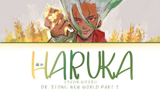 Dr Stone New World Opening  Ryujin Kiyoshi  Haruka 遥か LyricsKanRomEng [upl. by Oiromed]