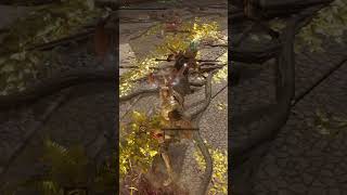 Elden Ring PVP Unleashing the Scorpions Stinger [upl. by Ahsieki]