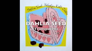 DAHLIA SEED  Transparent [upl. by Ispep]