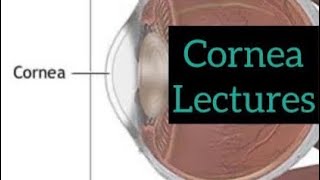 Cornea lectures part 9 Eye  ophthalmology lectures eyelectures opthalmology eye cornea [upl. by Weight]