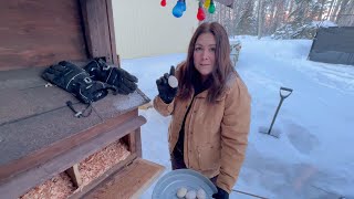 Homestead Life in Alaska  Winter Chores  Nordland 49 [upl. by Errick]