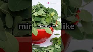 Moringa powder is a nutrientrich superfood that boosts energy immunity and digestion naturally [upl. by Aia]