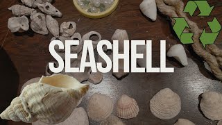 SeaSHELL🐚 deniz kabuğundan ne yaptım ❓ [upl. by Elladine]