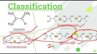 Terpenoids Isoprenoids isoprene polymers  Introduction Classification and biosynthesis and rules [upl. by Read140]