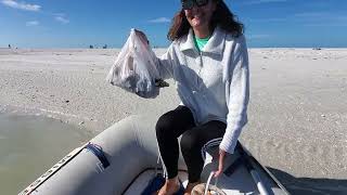 Day trip to Keewaydin Island shelling Part 2 The haul [upl. by Ger929]