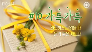 엘로히스트 읽을 때 듣기 좋은 새노래 10 [upl. by Budwig]