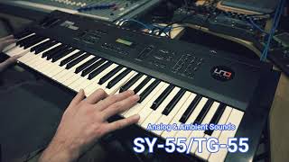 Yamaha SY55TG55  Custom Ambient amp Analog Sounds [upl. by Ahseei]