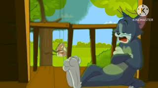 new Tom and Jerry cartoon video [upl. by Tima]