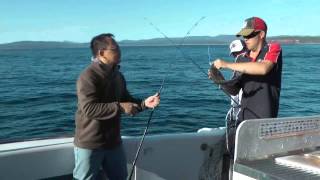 Fishing in Merimbula 26 Dec 13 [upl. by Raychel]