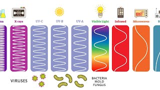 Ultraviolet UV Can Kill Bacteria amp Viruses – Learn The Basics [upl. by Ikilisav]