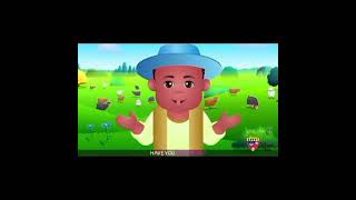 Class Playgroup Rhyme Baa Baa Black Sheep [upl. by Anuait]