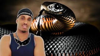 ILKACASE QAYS  BLACK MAMBA  JAWAABTII WAAYAHA CUSUB 2020 Official LYRIC VIDEO [upl. by Elleron]