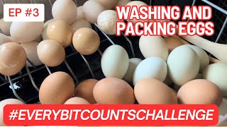 Washing and Packaging Eggs for refrigeration everybitcountschallenge threerivershomestead [upl. by Rap]