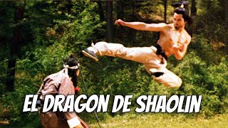 Wu Tang Collection  Dragon from Shaolin  El Dragon de Shaolin [upl. by Anilehs]