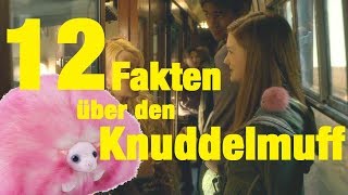 12 FAKTEN über den KNUDDELMUFF 😍 [upl. by Estren]