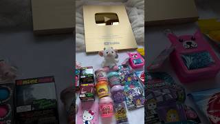 1 Million Subscriber Giveaway 🏆🛍️🎀 kawaiitoycollector fidget shorts [upl. by Ewald]