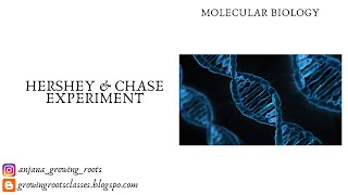 Hershey and Chase Experiment Malayalam Explanation  Bacteriophage amp Ecoli [upl. by Atinreb157]