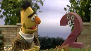 Sesame Street Calling All Pigeons with Bert [upl. by Luckett423]