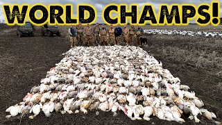 Snow Goose WORLD CHAMPS  473 Geese Killed [upl. by Siskind]