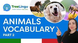 Italian animal vocabulary pt2  Impara con Treelingu 🇮🇹  Learn Italian naturally [upl. by Noiram]