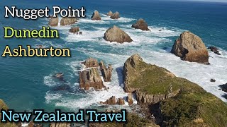 Nugget Point Dunedin Ashburton  New Zealand Travel Road trip Day 102 [upl. by Anirav543]