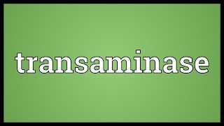 Transaminase Meaning [upl. by Astred]