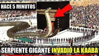 Una serpiente gigante INVADIÓ la Kaaba ¿Es esta la respuesta de Jesús [upl. by Thursby]