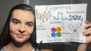 ASMR Teaching You Genetics  Epigenetics Imprinting XChromosome Inactivation [upl. by Attelliw]