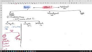 odontogenic tumor revision 2021 1 [upl. by Peih345]