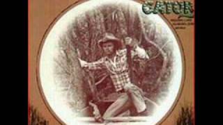 Jerry Reed  The Ballad of Gator McKlusky [upl. by Erelia66]