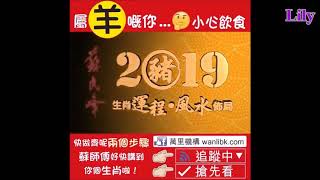 Peter So Man Fung  2019 Animals Sign Forecast 蘇民峰本尊發佈 2019豬年12生肖運程完整版 [upl. by Demitria]