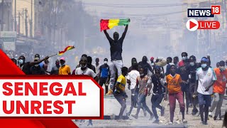 Sonko Supporters Clash With Police In Senegal  Senegal News Today  English News LIVE  News18 [upl. by Anircam]