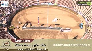 1a Serie Libre A  75º Campeonato Nacional de Rodeo 2024 [upl. by Woodley376]