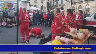 Caltagirone Festival del volontariato  I volontari sono una risorsa e non vanno trascurati [upl. by Dygert]