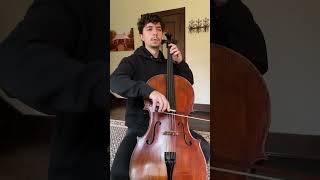 Schubert Trout Quintet cello classicalmusic [upl. by Goldshlag]