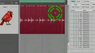 Logic 8 Audio Quantize  Adjust Tempo Using Region Length and Locators [upl. by Buseck]