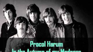 Procol Harum  In The Autumn Of My Madness [upl. by Tersina350]