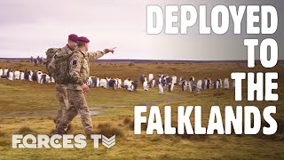 Guardians Of The South Atlantic UK Forces In The Falklands  Forces TV [upl. by Rhett666]