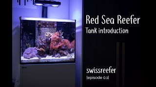 Red Sea Reefer 170  1 year tank introduction Swissreefer  Episode 01 [upl. by Nylsor382]