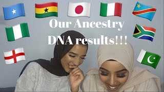 OUR ANCESTRY DNA RESULTS [upl. by Yenffit]