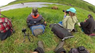 Mikfik Creek bear viewing [upl. by Nroht435]