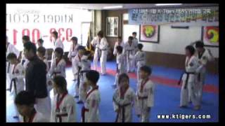 KTigers Taekwondo Federation training highlight January 2010 [upl. by Bubalo656]