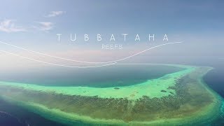 Tubbataha Reef Palawan  UNESCO Heritage Site and a National Treasure [upl. by Adelle]